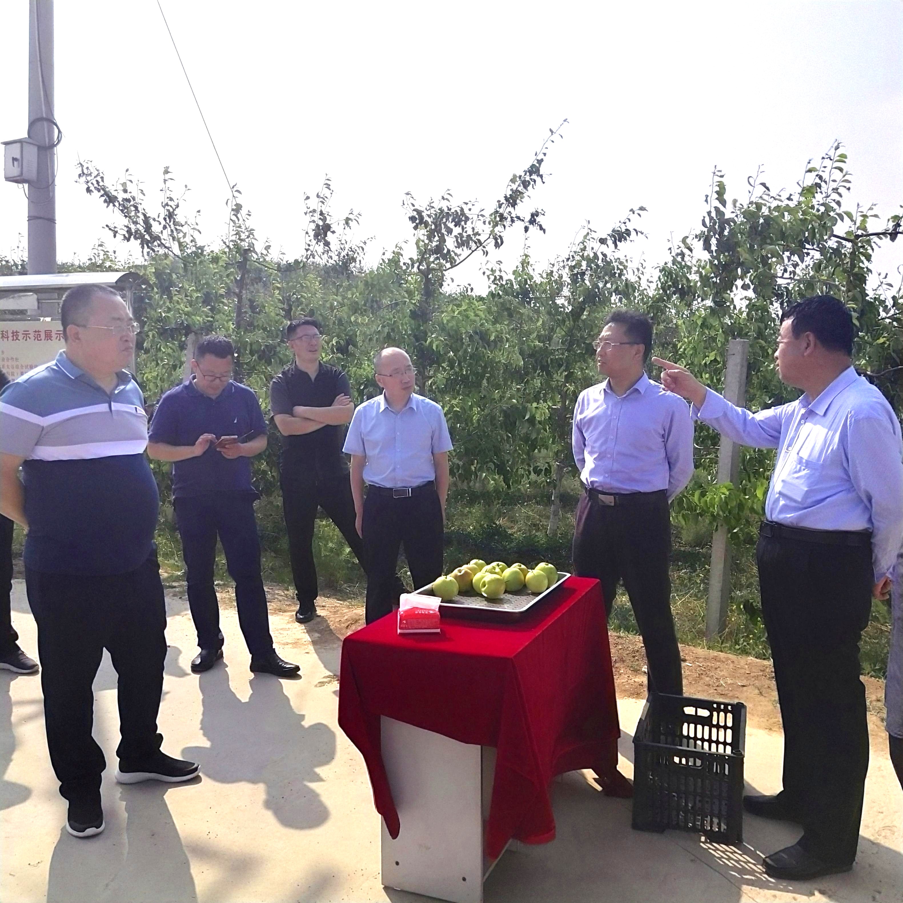 山西省零售商行业协会考察团应邀赴汾西县考察调研！(图4)